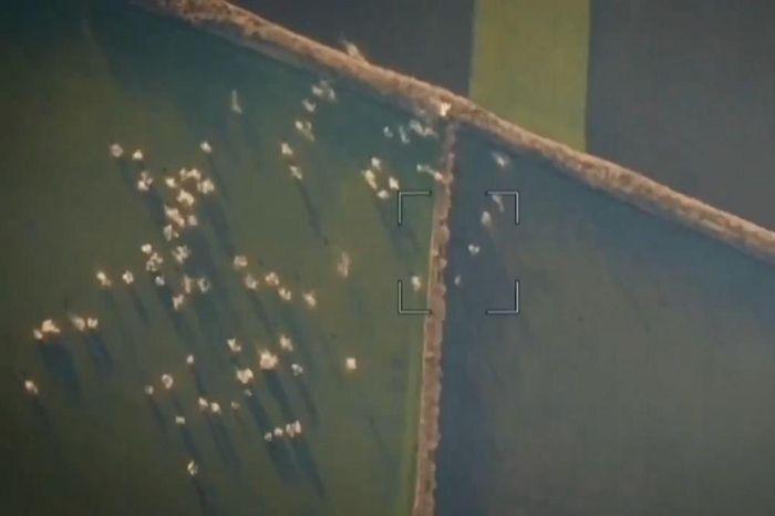 Hình ảnh quân Nga nã đạn chùm vào vị trí hệ thống HIMARS Ukraine