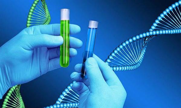Chuyên gia Viện Pháp y Quốc gia: Những lưu ý khi giám định ADN