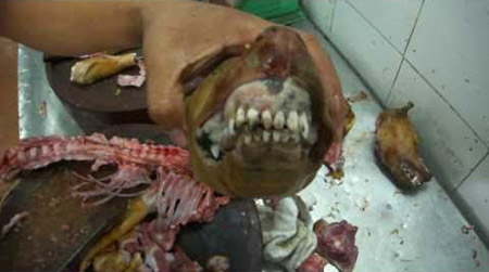 Tây sốc nặng với clip chó thui tùng xẻo của VN