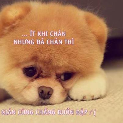 Ảnh độc đáo - Phần 12