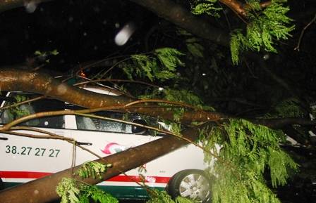 Toàn cảnh cơn bão số 1 tại TPHCM