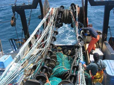 Nga: Nhập khẩu thủy sản giảm do chính phủ đẩy mạnh nguồn nội địa