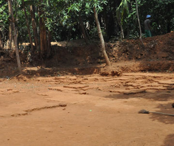 Phát lộ phế tích tháp Chăm-pa hơn 1.000 năm tuổi