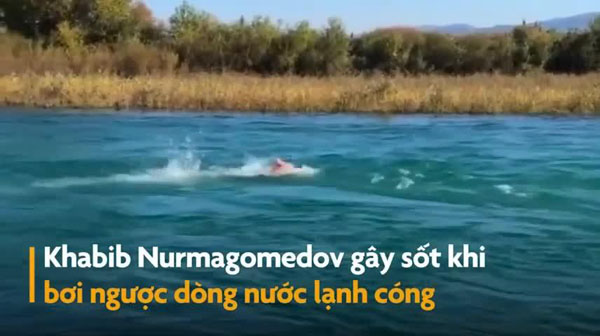Khabib gây sốt khi bơi ngược dòng nước