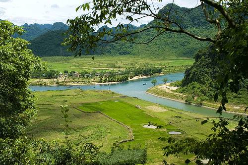 Cây sưa trăm tỷ Vườn Quốc gia Phong Nha - Kẻ Bàng biến mất