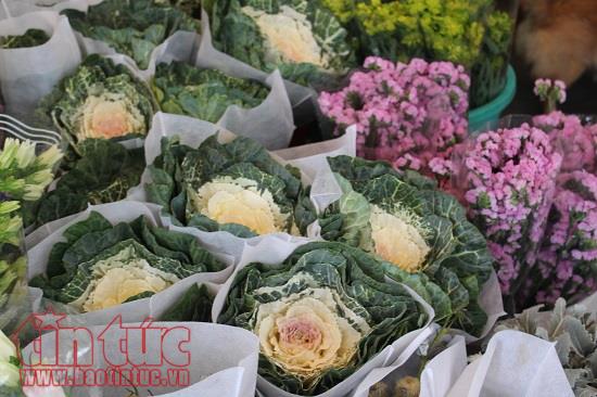 Bốn món quà ý nghĩa vừa tầm giá cho chị em trong ngày 8/3