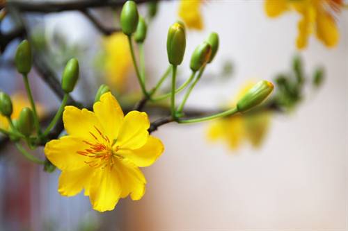 Thông tin : Vòng sơ khảo Hội diễn văn nghệ 2012