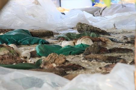 Rợn người chứng kiến hố ngâm ô mai