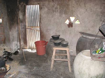 Thực hư chuyện rắn hổ chúa báo thù ở Quảng Ngãi