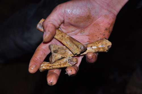 Mò của báu được xương ở hang ‘chôn 70 gánh vàng’