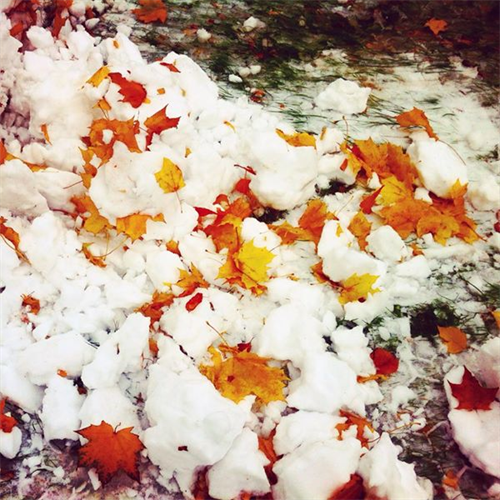 Moskva: Tuần này, trời sẽ lạnh như giữa tháng 12