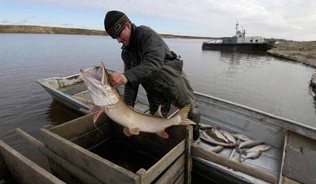Người Trung Quốc có thể sẽ bị cấm đánh bắt cá Nga