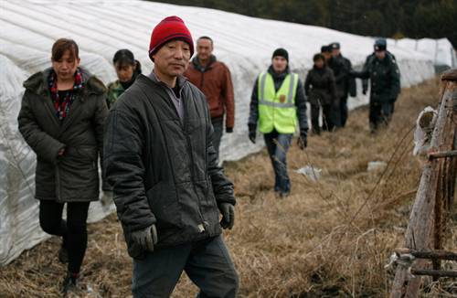 Krasnoyarsk: Nông dân Trung Quốc canh tác trái phép trên hàng nghìn hecta