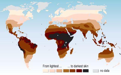 Tại sao con người lại có nhiều màu da khác nhau?