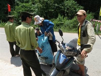 Quan chức kiểm lâm giải trình vụ gỗ sưa ngàn tỷ