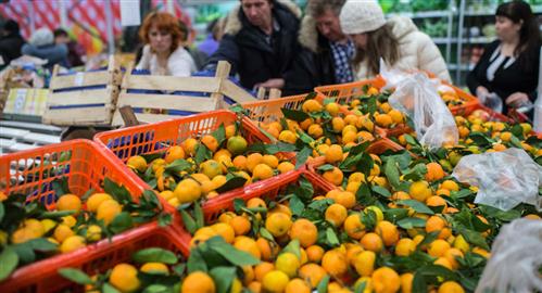 Syria thế chỗ Thổ Nhĩ Kỳ xuất khẩu rau và trái cây sang Nga