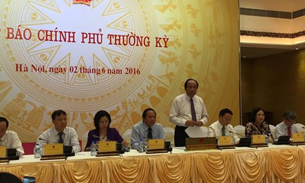 Đã xác định nguyên nhân cá chết hàng loạt ở miền Trung