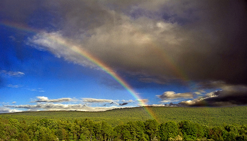 Tại sao cầu vồng bảy sắc lại cong chứ không thẳng?