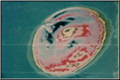 Australia tiết lộ hồ sơ mật về đĩa bay