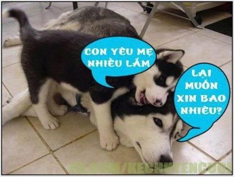 Ảnh độc đáo - Phần 18
