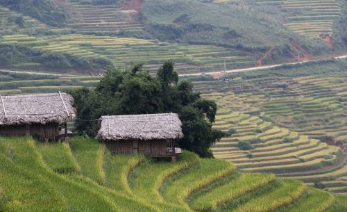 Truyền hình Ai Cập phát sóng trực tiếp quảng bá Việt Nam