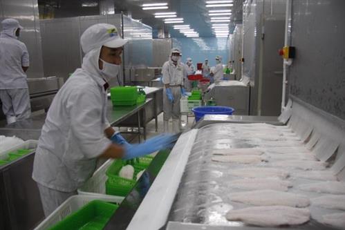 Giá cá tra Việt Nam: Từ vị thế 