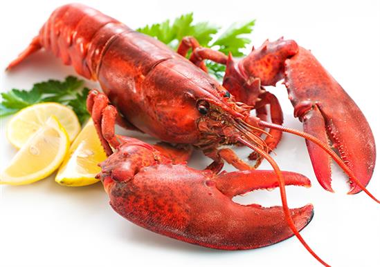 Tôm hùm từng là thức ăn của người nghèo
