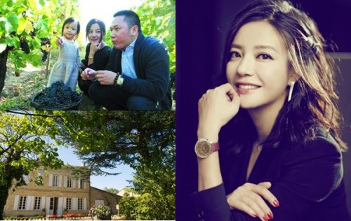 Cận cảnh vườn nho 97 tỷ của 