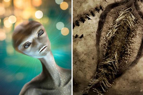 Phát hiện ‘ổ trứng người ngoài hành tinh’ dạt vào bờ chấn động nước Anh