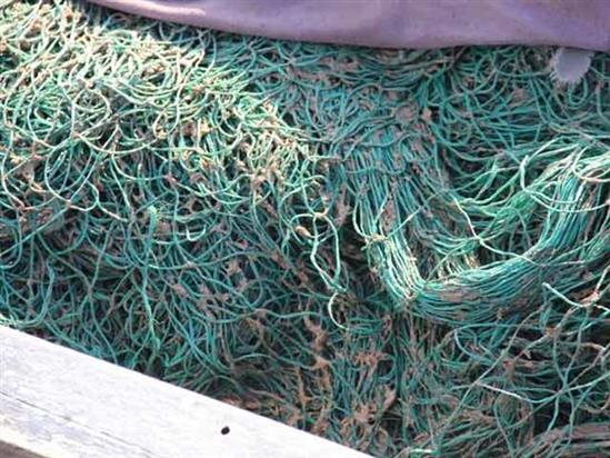 Đến lượt ngư dân Quảng Bình dính “bùn lạ” khi đánh bắt gần bờ