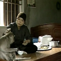 Sư thầy giữ núi, nuôi khỉ như con ở Hải Dương