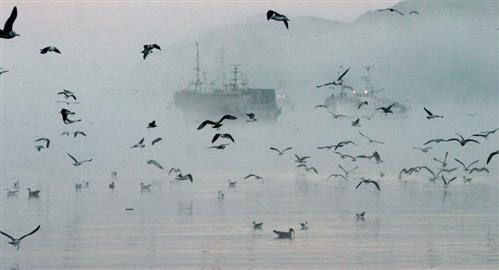 Những nhân viên được nhận lương sau khi phàn nàn với ông Putin sẽ rời 