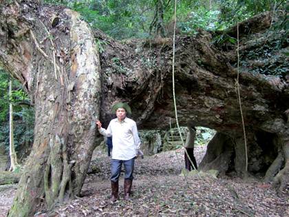 Ngạc nhiên với “khủng long nghiến” khổng lồ ở Bắc Kạn