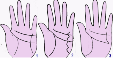 Khám phá đường Kỳ Ảo của bàn tay