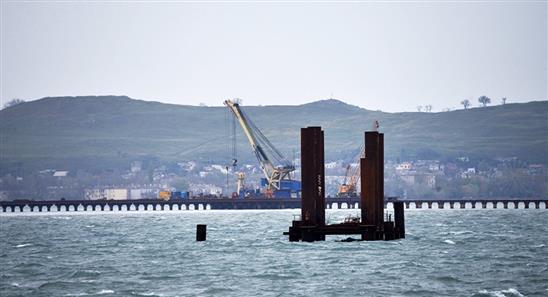 Các nhà sinh học Nga đề nghị tạm ngưng xây cầu Kerch vì cá heo