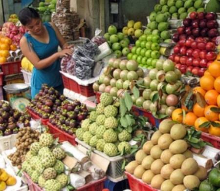 Rau quả Việt Nam nguy cơ mất thị trường XK sang EU
