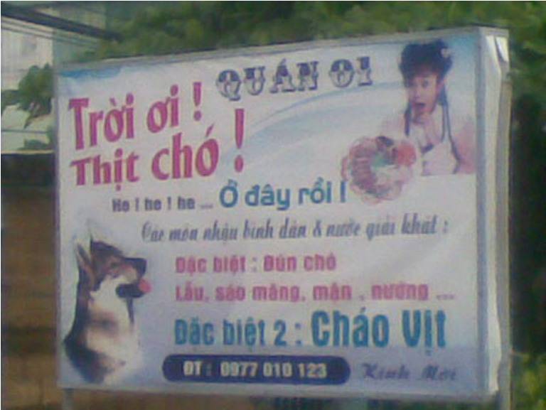 Những hình ảnh độc chỉ có ở Việt Nam - Phần 14