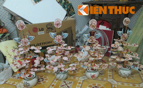 Cây tiền thật trang trí Tết nổi như cồn có phạm luật?