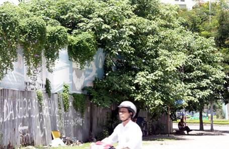 Hà Nội quyết xử lý “đất vàng” bỏ hoang