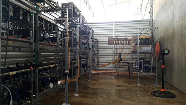 Dân đào coin Việt ồ ạt rao bán 'trâu' ăn Tết