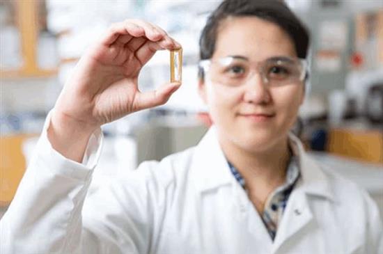 Nghiên cứu sinh gốc Việt phát minh ra 