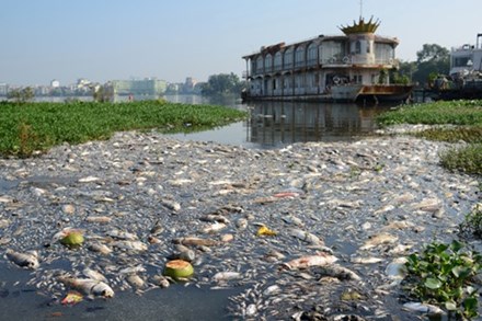 Chấm dứt hoàn toàn hoạt động của các DN trong phạm vi quản lý Hồ Tây