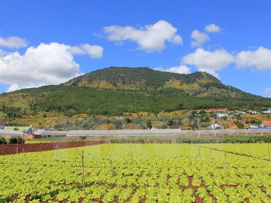 Các tỉnh phía Bắc bắt đầu tăng nhiệt trong tuần này, trời hửng nắng