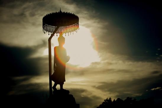 Phật chỉ: Nếu làm điều ngu ngốc này, trả giá cả đời cũng không hết tội nghiệp