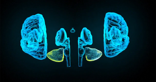 Bí mật khoa học đằng sau 