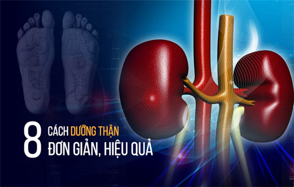 Các cụ đã dạy: “Thận có khỏe thì sức mới bền” và đây là 8 cách chăm sóc thận đơn giản bất kỳ ai cũng phải nên làm