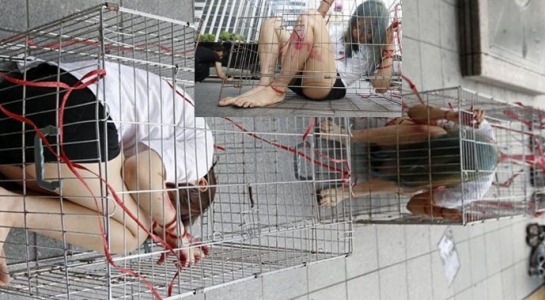 Nhóm mỹ nữ mặc quần siêu ngắn nằm quằn quại trong lồng sắt giữa phố