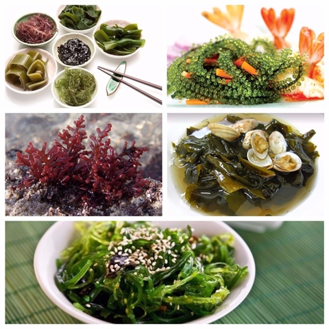 Ăn gì giúp người Nhật sống lâu?