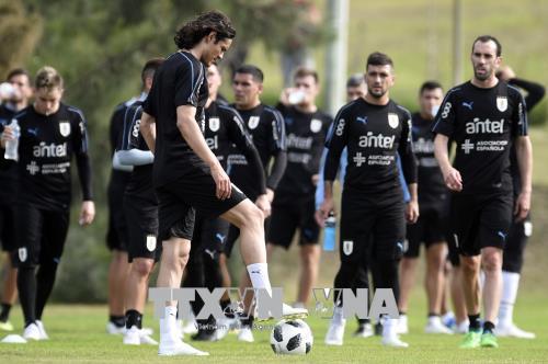 Tuyển Uruguay chi tới 1,3 triệu USD để thuê chuyên cơ tới Nga thi đấu