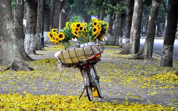 Dự báo thời tiết 9/9: Hà Nội bước sang thu, trời se lạnh